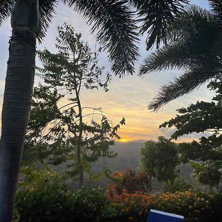 Hawk'S Nest Bed & Breakfast La Laguna de San Carlos 외부 사진