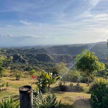 Hawk'S Nest Bed & Breakfast La Laguna de San Carlos 외부 사진