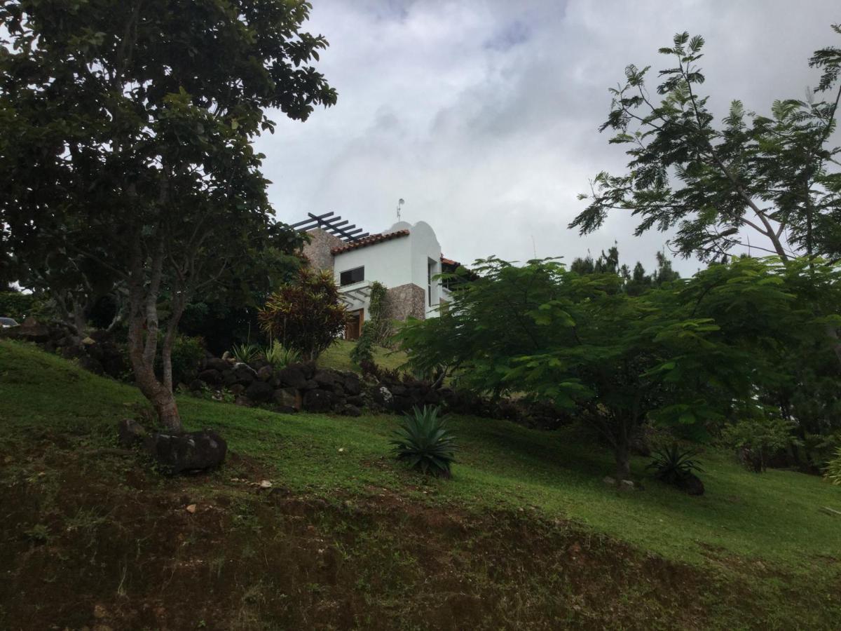 Hawk'S Nest Bed & Breakfast La Laguna de San Carlos 외부 사진