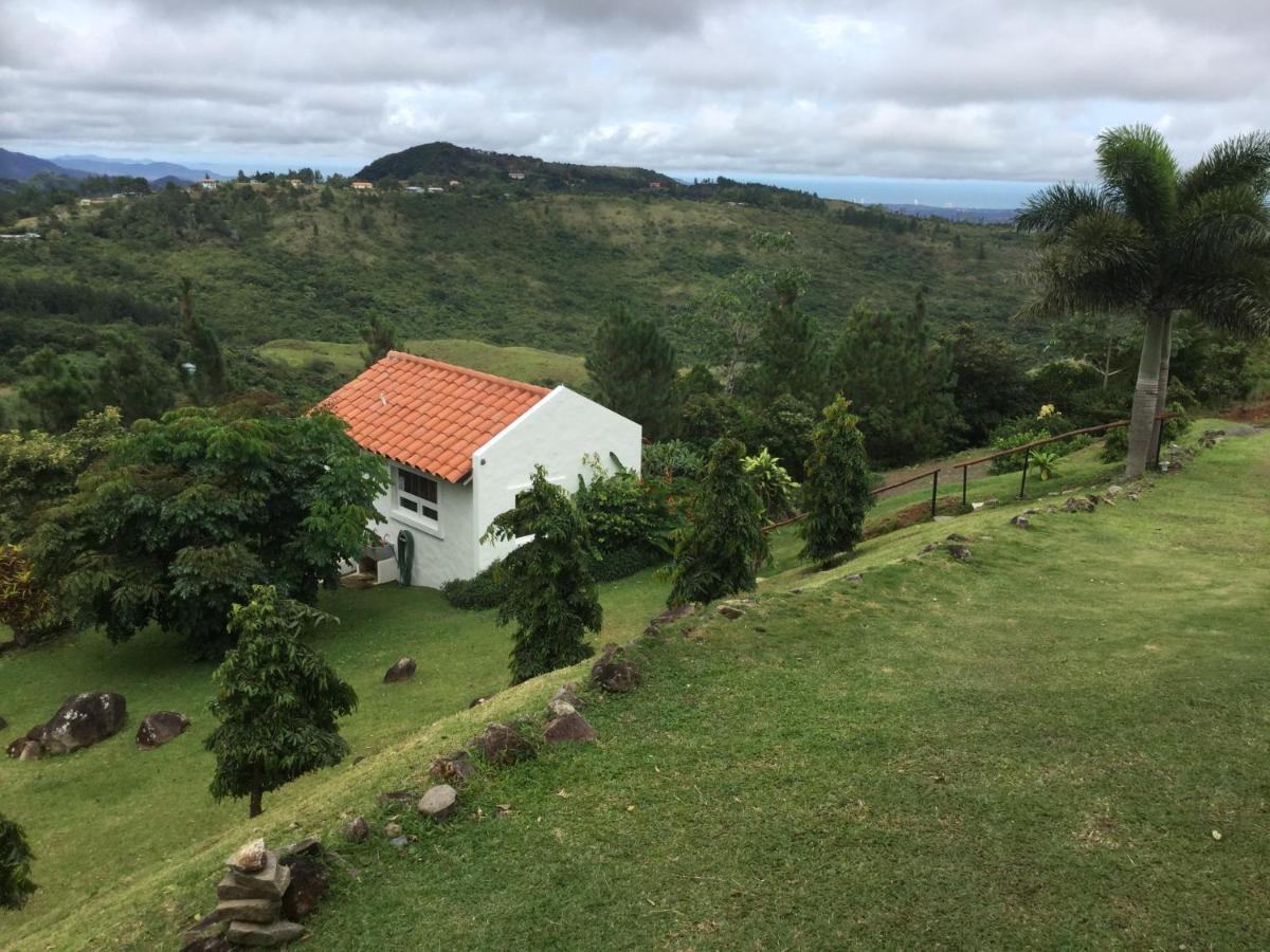 Hawk'S Nest Bed & Breakfast La Laguna de San Carlos 외부 사진