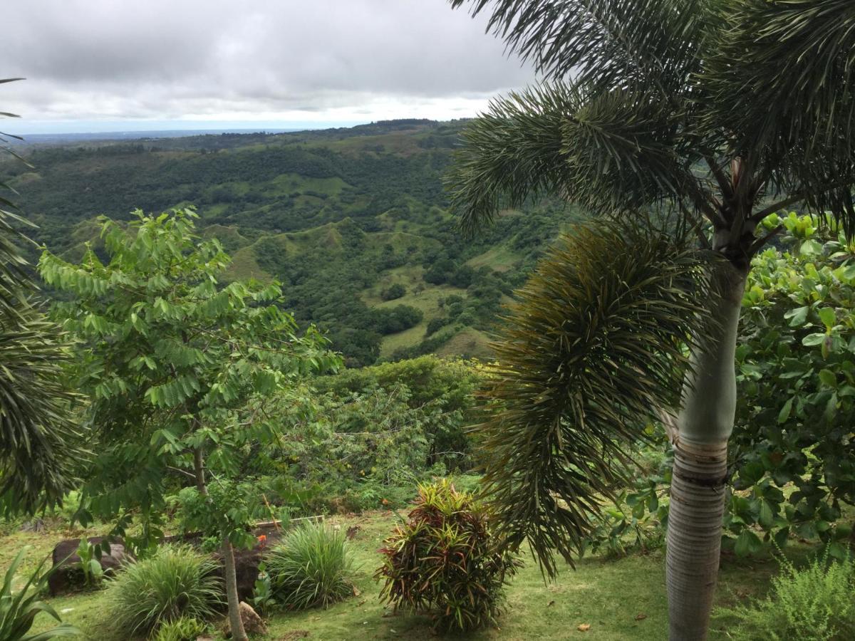 Hawk'S Nest Bed & Breakfast La Laguna de San Carlos 외부 사진