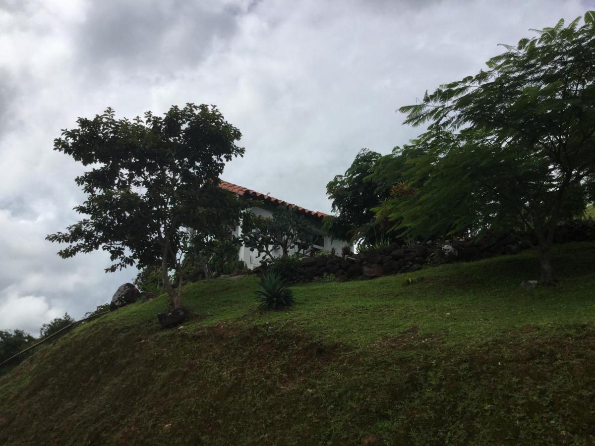 Hawk'S Nest Bed & Breakfast La Laguna de San Carlos 외부 사진