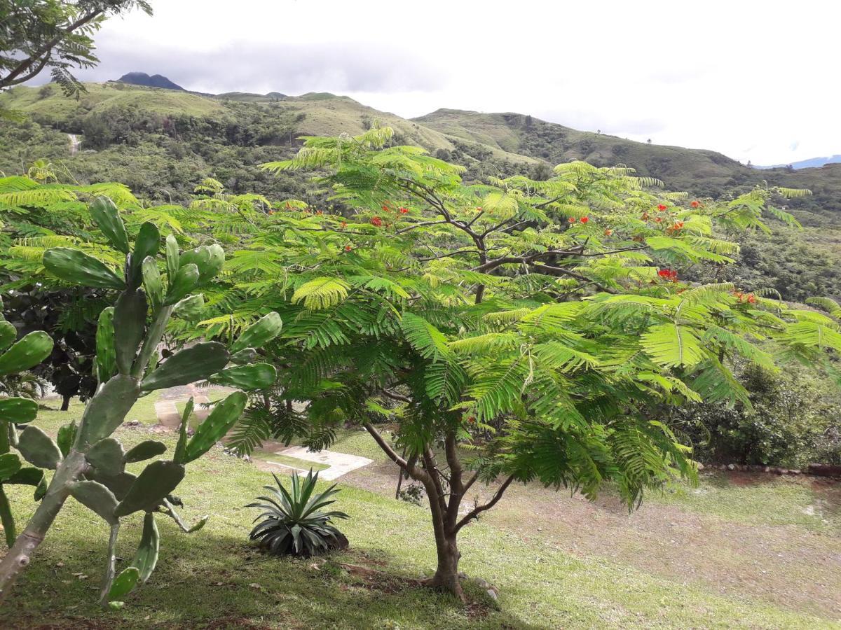 Hawk'S Nest Bed & Breakfast La Laguna de San Carlos 외부 사진