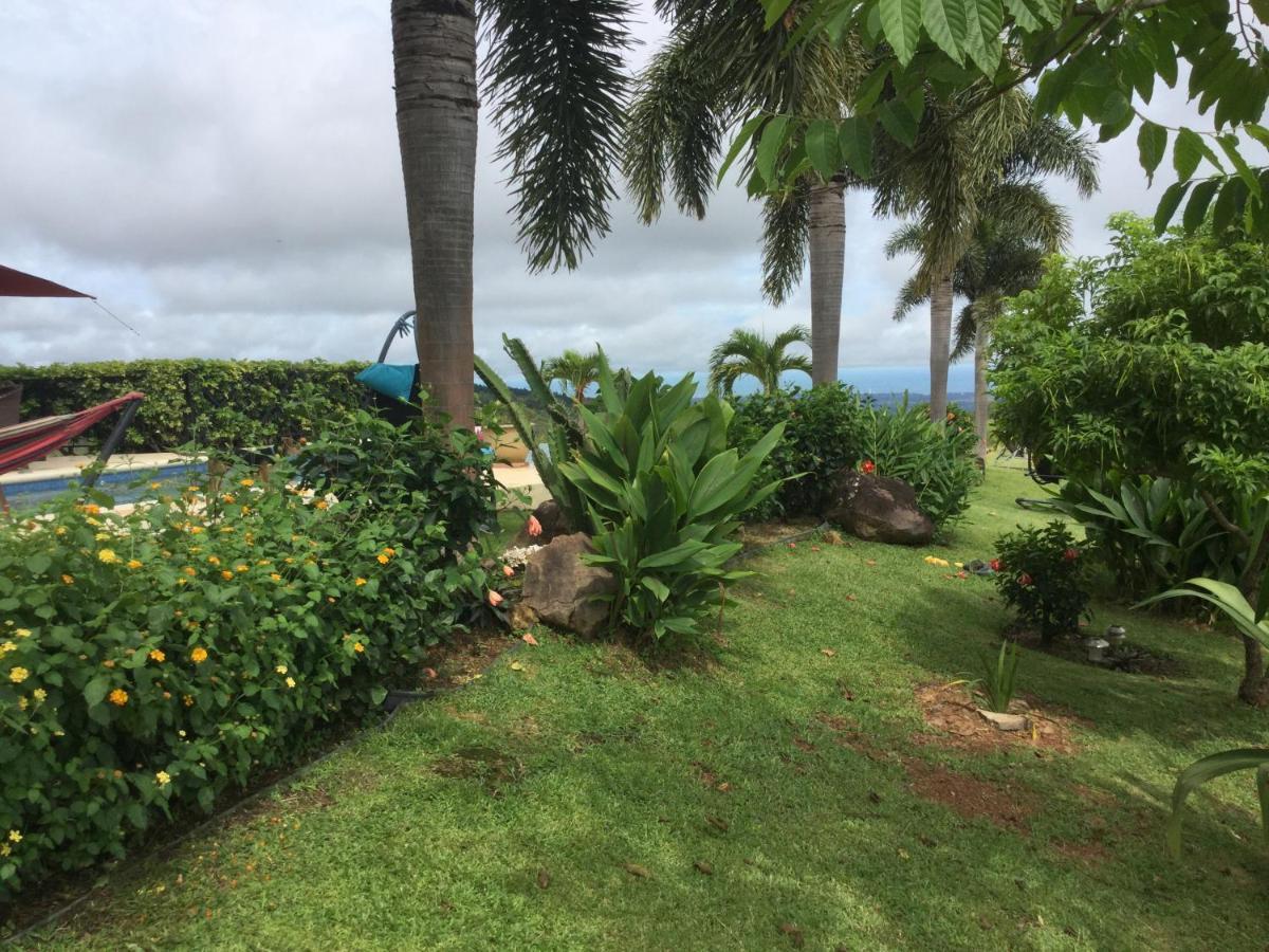 Hawk'S Nest Bed & Breakfast La Laguna de San Carlos 외부 사진
