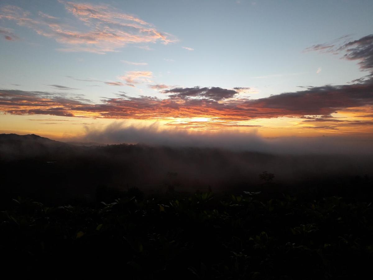 Hawk'S Nest Bed & Breakfast La Laguna de San Carlos 외부 사진