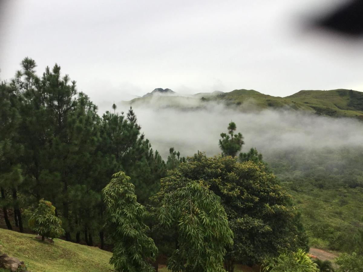 Hawk'S Nest Bed & Breakfast La Laguna de San Carlos 외부 사진