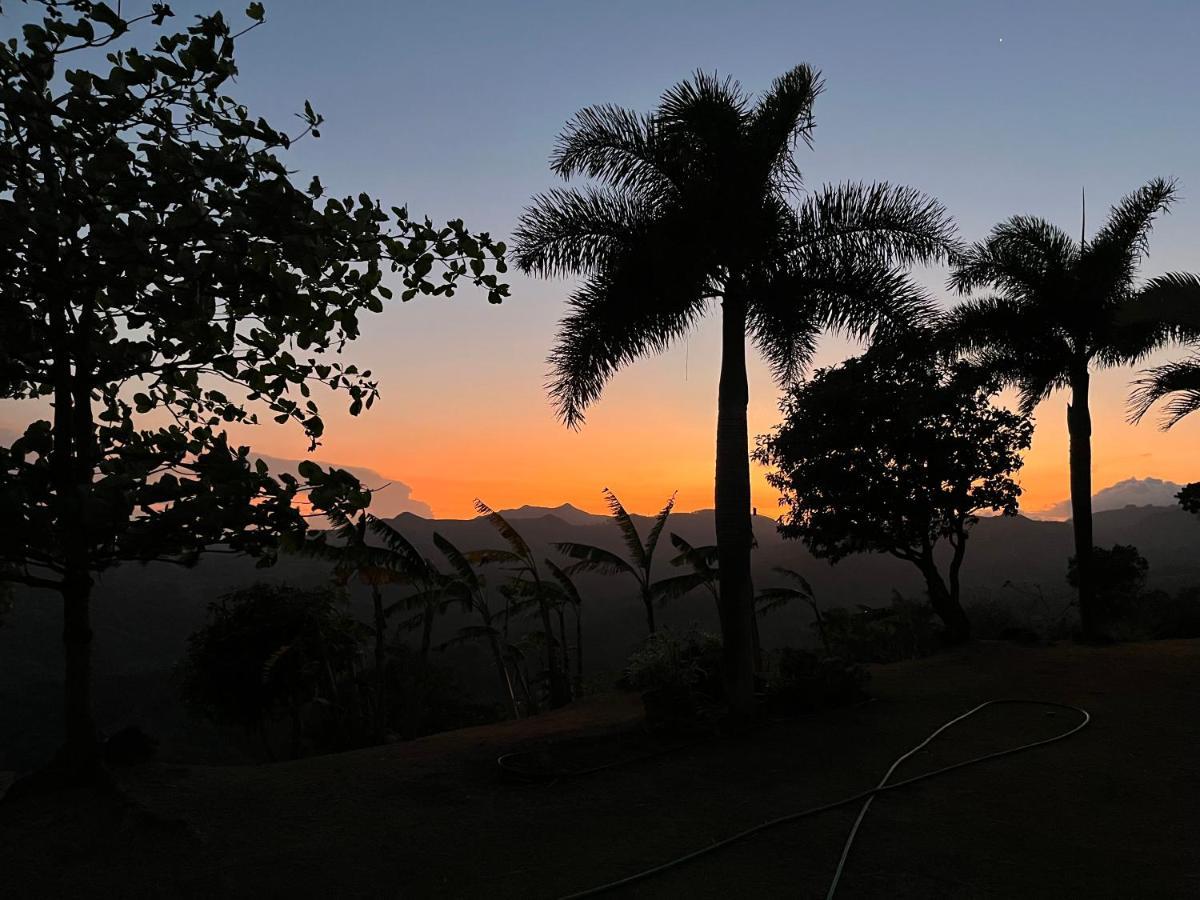 Hawk'S Nest Bed & Breakfast La Laguna de San Carlos 외부 사진
