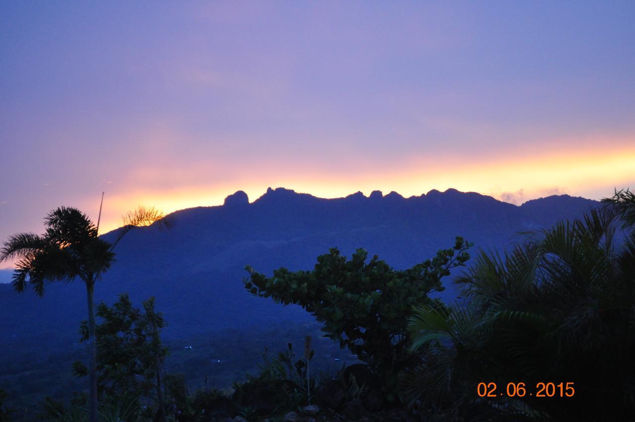 Hawk'S Nest Bed & Breakfast La Laguna de San Carlos 외부 사진