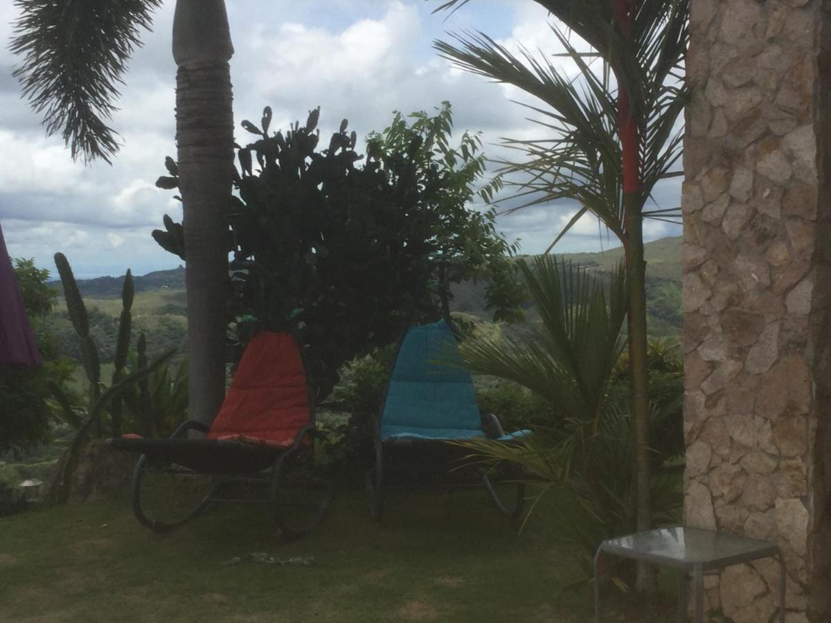Hawk'S Nest Bed & Breakfast La Laguna de San Carlos 외부 사진