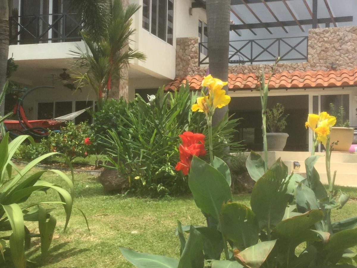 Hawk'S Nest Bed & Breakfast La Laguna de San Carlos 외부 사진