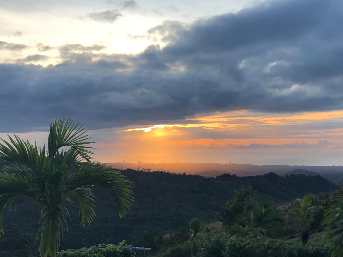 Hawk'S Nest Bed & Breakfast La Laguna de San Carlos 외부 사진